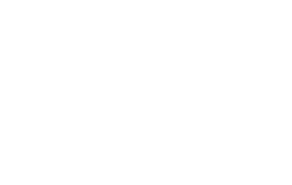 Sparrows Company Logo